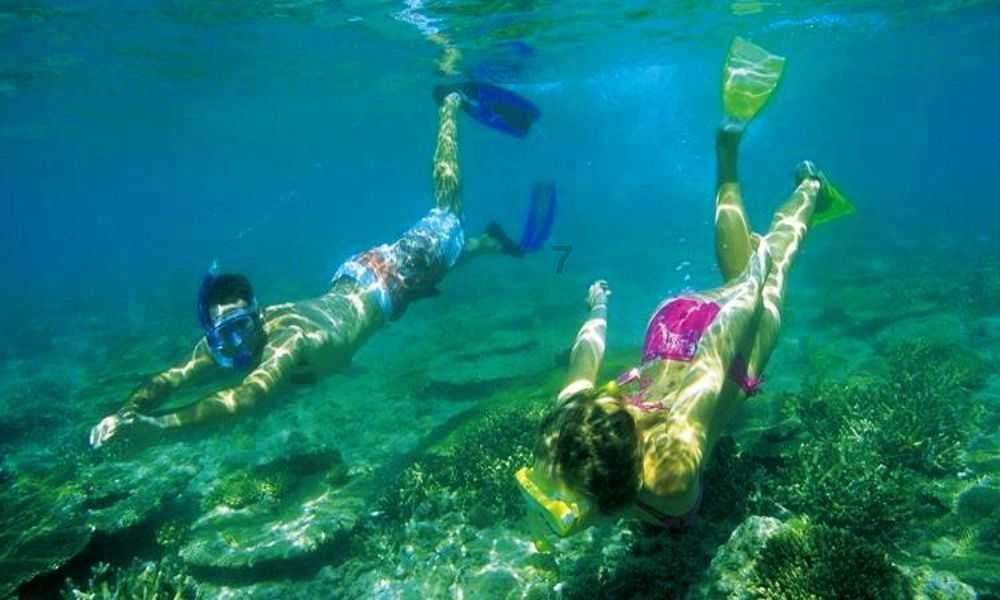 测试你的桃花运